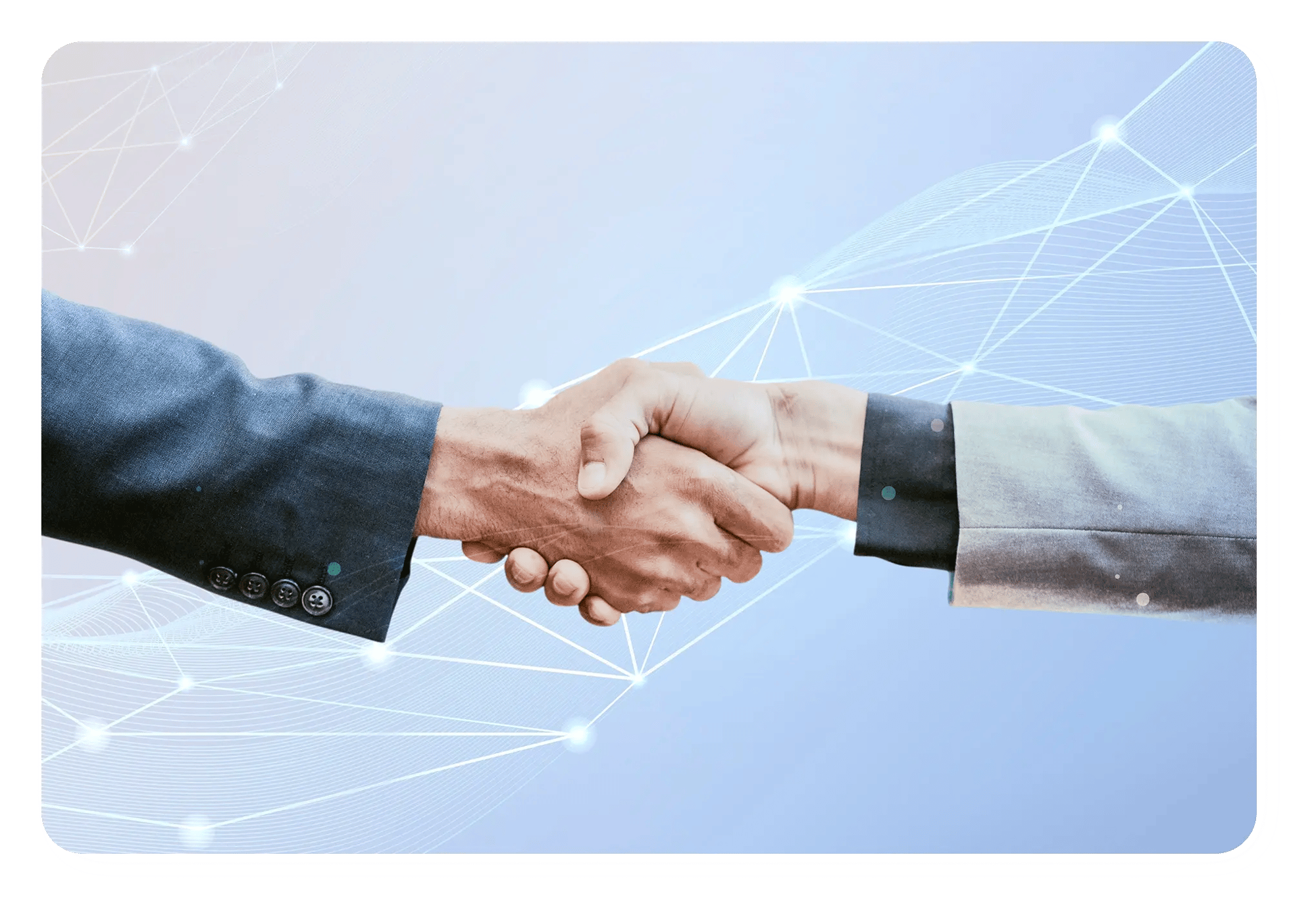 partners - banner