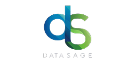 ds-1